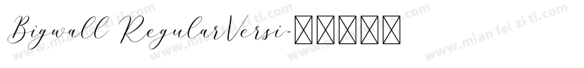 Bigwall RegularVersi字体转换